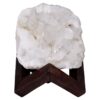 Natural Clear Quartz Specimen on Timber Stand 8cm S1735 | Crystal Factory