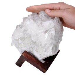 Natural Clear Quartz Specimen on Timber Stand 8cm S1736 | Crystal Factory