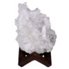 Natural Clear Quartz Specimen on Timber Stand 8cm S1737 | Crystal Factory