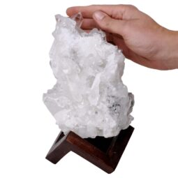 Natural Clear Quartz Specimen on Timber Stand 8cm S1737 | Crystal Factory