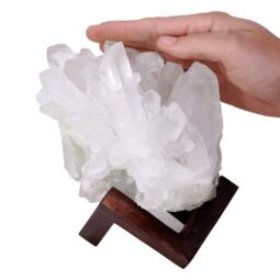 Natural Clear Quartz Specimen on Timber Stand 8cm S1738 | Crystal Factory