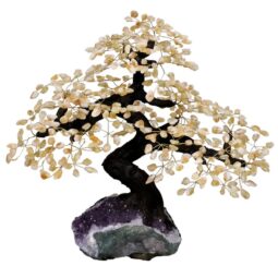 Citrine Gemstone Bonsai Tree on Amethyst Cluster 108 Branches T3293 | Crystal Factory