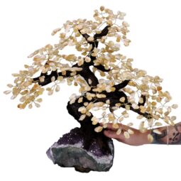 10.8kg Citrine Gemstone Bonsai Tree on Amethyst Cluster 108 Branches T3293 5 Citrine Gemstone Bonsai Tree on Amethyst Cluster 108 Branches T3293 | Crystal Factory