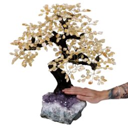 12.5kg Citrine Gemstone Bonsai Tree on Amethyst Cluster 108 Branches T3294 4 Citrine Gemstone Bonsai Tree on Amethyst Cluster 108 Branches T3294 | Crystal Factory