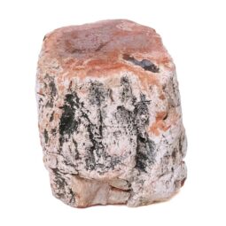 0.35kg Petrified Wood Specimen X478 | Crystal Factory