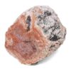 0.35kg Petrified Wood Specimen X478 | Crystal Factory