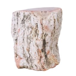 0.35kg Petrified Wood Specimen X478 11 0.35kg Petrified Wood Specimen X478 | Crystal Factory