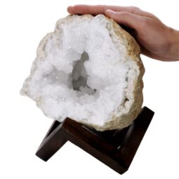 Calcite Geode on Timber Stand 12cm S1755 | Crystal Factory