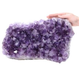 Amethyst Druze Cluster T3298 | Crystal Factory