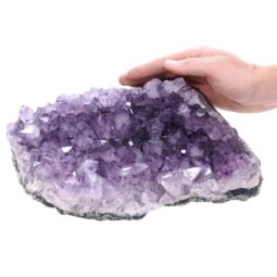 5kg Amethyst Druze Cluster T3309 5 Amethyst Druze Cluster T3309 | Crystal Factory