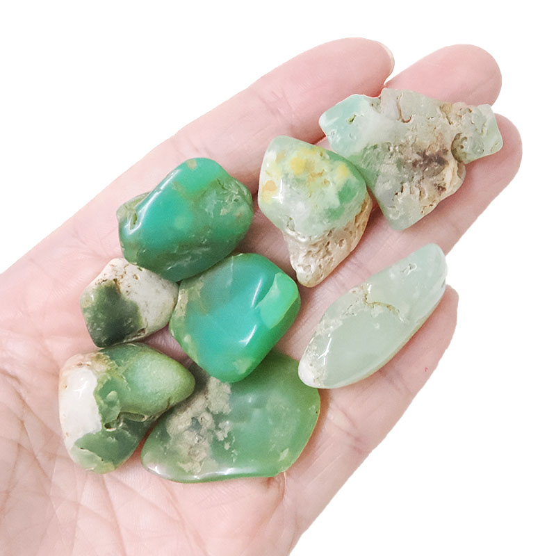Western Australian Chrysoprase Mini Rough Parcel X476 6 Western Australian Chrysoprase Mini Rough Parcel X476 | Crystal Factory