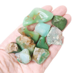 Western Australian Chrysoprase Mini Rough Parcel X476 | Crystal Factory