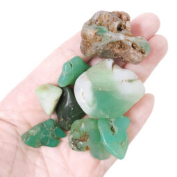 Western Australian Chrysoprase Mini Rough Parcel X476 8 Western Australian Chrysoprase Mini Rough Parcel X476 | Crystal Factory