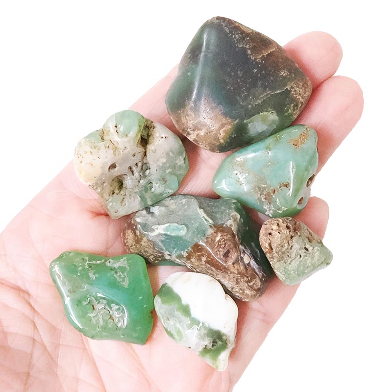 Western Australian Chrysoprase Mini Rough Parcel X477 4 Western Australian Chrysoprase Mini Rough Parcel X477 | Crystal Factory