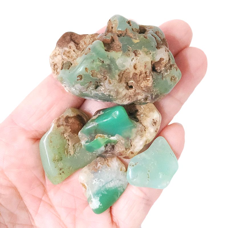 Western Australian Chrysoprase Mini Rough Parcel X477 5 Western Australian Chrysoprase Mini Rough Parcel X477 | Crystal Factory