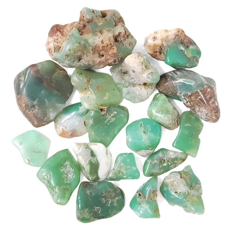 Western Australian Chrysoprase Mini Rough Parcel X477 2 Western Australian Chrysoprase Mini Rough Parcel X477 | Crystal Factory