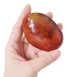 Madagascar Carnelian Palm Stones 1kg Parcel | Crystal Factory