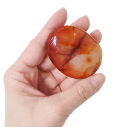 Madagascar Carnelian Palm Stones 1kg Parcel | Crystal Factory