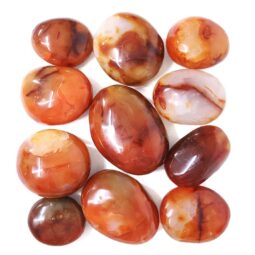 Madagascar Carnelian Palm Stones 1kg Parcel | Crystal Factory