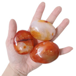 Madagascar Carnelian Palm Stones 1kg Parcel | Crystal Factory
