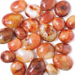 Madagascar Carnelian Palm Stones 1kg Parcel | Crystal Factory