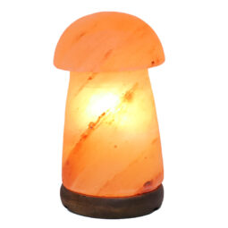 Mushroom Salt Lamp - Timber Base (12V – 12W) | Crystal Factory