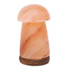 Mushroom Salt Lamp - Timber Base (12V – 12W) | Crystal Factory