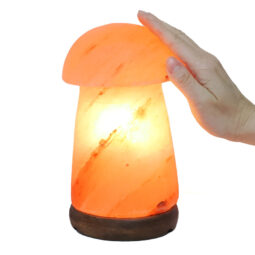 Mushroom Salt Lamp - Timber Base (12V – 12W) Energy Efficient 9 Mushroom Salt Lamp - Timber Base (12V – 12W) | Crystal Factory