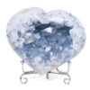 1.26kg Celestite Druze Cluster Heart T3325 1 Celestite Druze Cluster Heart T3325 | Crystal Factory