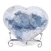 0.86kg Celestite Druze Cluster Heart T3337 1 Celestite Druze Cluster Heart T3337 | Crystal Factory