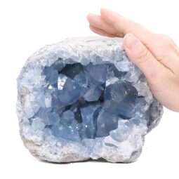 Celestite Druze Cluster Specimen T3339