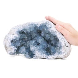 Celestite Druze Cluster Specimen T3340 | Crystal Factory