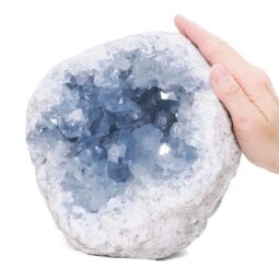 Celestite Druze Cluster Specimen T3343 | Crystal Factory