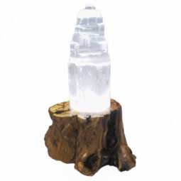 Tree Stump LED Light Crystal Display Base - Cool White 6002 9 Tree Stump LED Light Crystal Display Base - Cool White 6002 | Crystal Factory