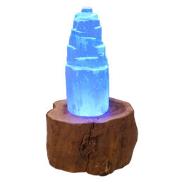 Tree Stump LED Light Crystal Display Base - Multicolour 6003 | Crystal Factory