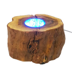 Tree Stump LED Light Crystal Display Base - Multicolour 6003 | Crystal Factory