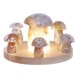6 Pieces Flower Agate Mushroom Home Decor Package on 20cm LED Light Base P2255 | Crystal Factory