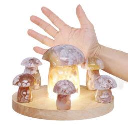 6 Pieces Flower Agate Mushroom Home Decor Package on 20cm LED Light Base P2255 | Crystal Factory