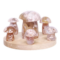 6 Pieces Flower Agate Mushroom Home Decor Package on 20cm LED Light Base P2255 | Crystal Factory