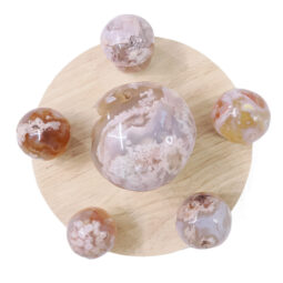 6 Pieces Flower Agate Mushroom Home Decor Package on 20cm LED Light Base P2255 | Crystal Factory