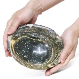 0.92kg Madagascar Ocean Jasper Crystal Bowl P2293 5 Madagascar Ocean Jasper Crystal Bowl P2293 | Crystal Factory